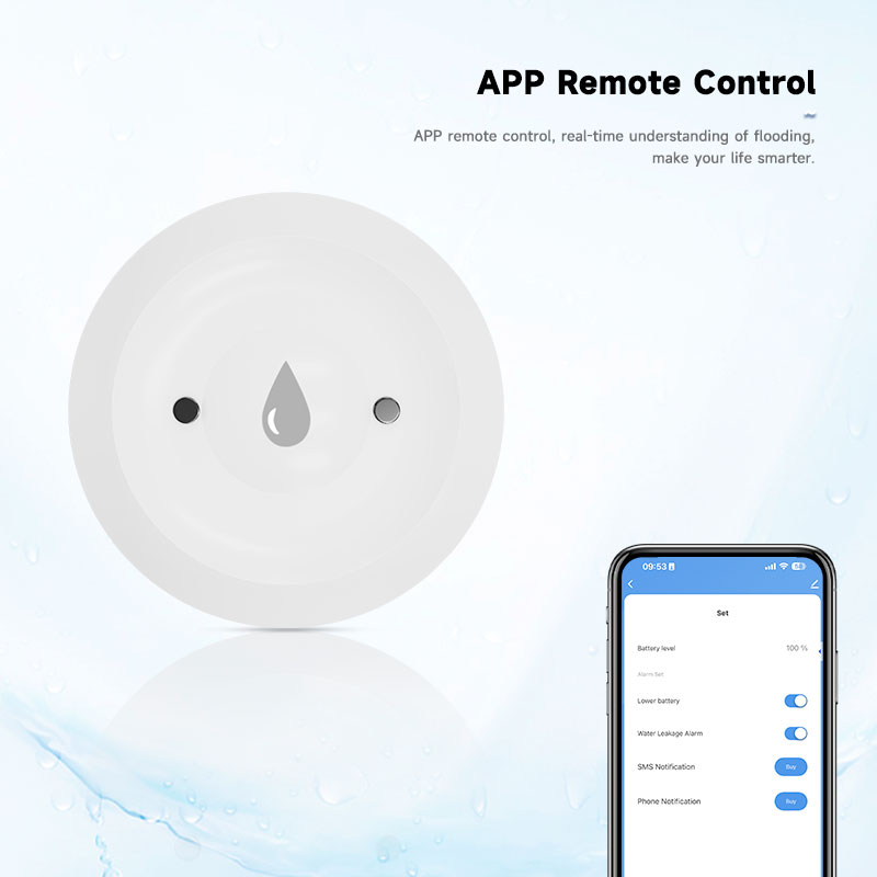 Tuya Zigbee2mqtt Sensore di im - Water Alarm Sensor recensione e prezzo