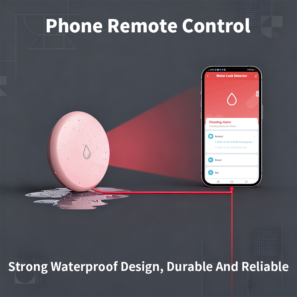 Sensore di Perdite Zigbee, Ril - Water Alarm Sensor recensione e prezzo
